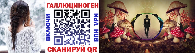 Галлюциногенные грибы мицелий  Купить закладки  Новозыбков 